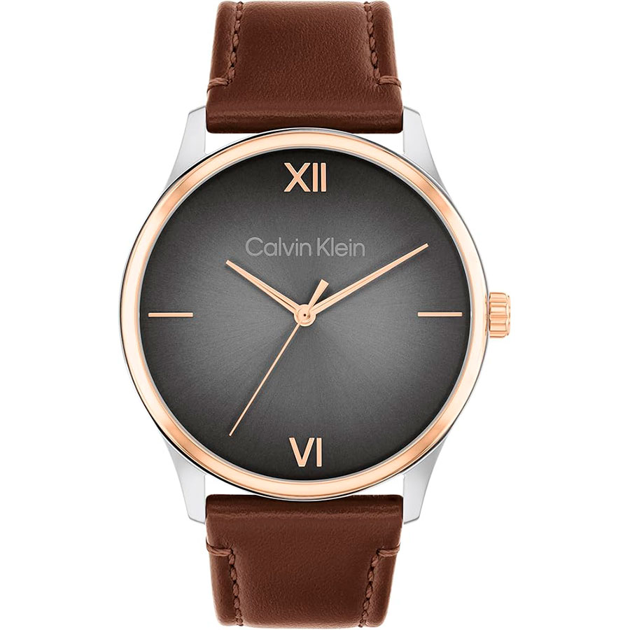 Часы Calvin Klein Ascend 25200453